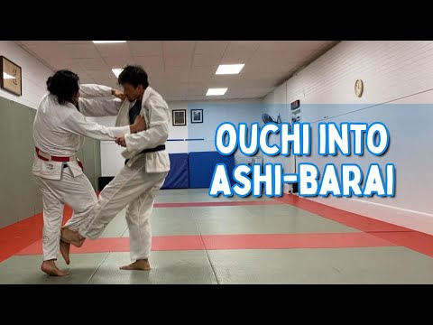 Ouchi-gari into okuri-ashi-barai — judo technique demonstration