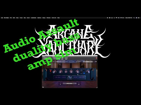 AUDIO ASSAULT DUALITY BASS STUDIO BASS DISTORTION REVIEW BY NICK FROM ARCANE SANCTUARY