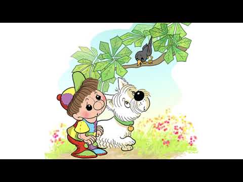 Pohádkové putování Panáčka Plyšáčka a psí slečny Robinky