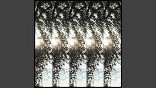 Ignorance Makes Me High