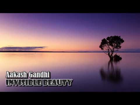 Aakash Gandhi - Invisible Beauty