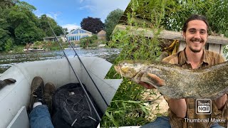 MONSTER THAMES CATFISH CAUGHT FROM INFLATABLE BOAT
