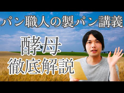 パニーナについて詳しく解説