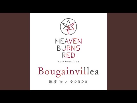 日本文学科 Bougainvillea