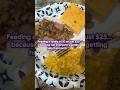 Fed My Family Of 10 For Just 25 Budgetmeals Cooking Mealideas