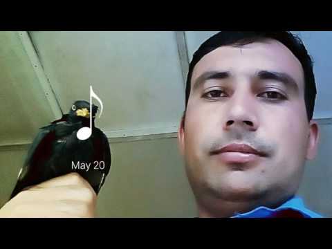 download lagu mp3 mp4 Mp3 Tone News, download lagu Mp3 Tone News gratis, unduh video klip Mp3 Tone News