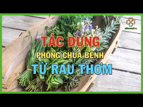 Tác Dụng Phòng Chữa Bệnh Tuyệt Vời Của Rau Thơm