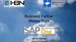 Business Partner Master Data in SAP Business One