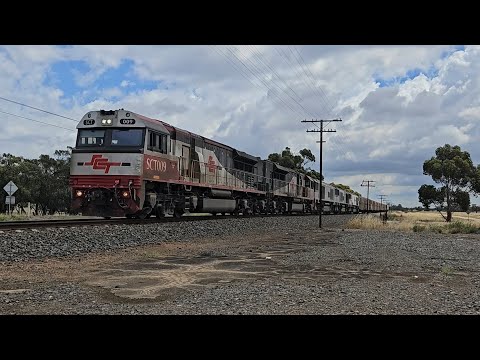 4PM9 SCT up "Dark Ghost" (5 locos), Forrestfield to Laverton, 1230, 7/12/24, Pimpinio VIC