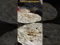 Frankie recipe links in description | #recipe #frankie #shorts #youtubeshorts
