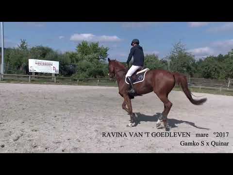 Ravina van 't Goedleven