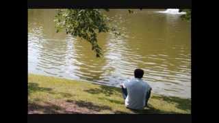 A way of life - The paradox of our time.