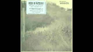 Dan Janisch - Foolish Tears