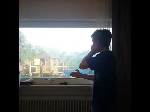 Karte aus der Luft zaubern und wieder verschwinden lassen Tutorial