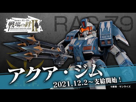 ֵưΥ II12åץǡȿﵡΡåBNAM