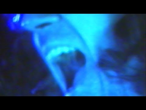 E. Bobby G. - "Supermarket Sleuth"