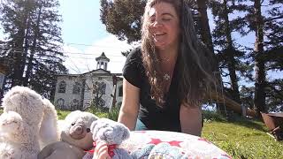 Five bears in the bed