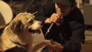 七尾旅人 “犬たちのためのコンサート” / TAVITO NANAO “Concert for Dogs”