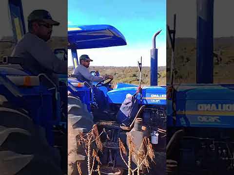 Baitaporã Mato Grosso do sul