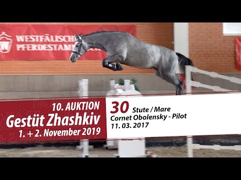 30 Stute / Mare v. Cornet Obolensky - Pilot