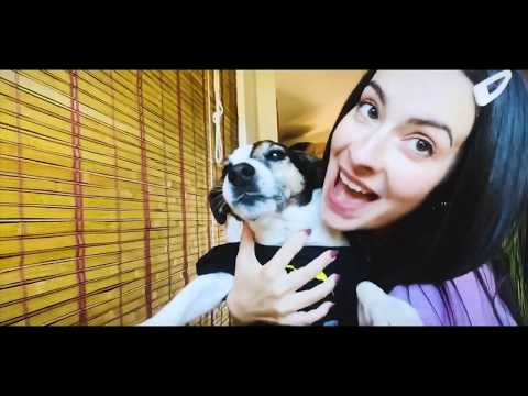 Inarrestabili - Ellos Dicen Mierda (Quarantine Video)