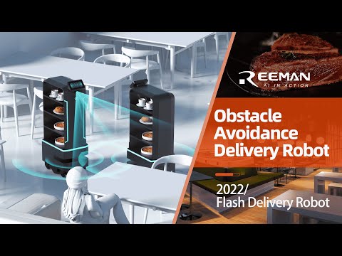 Flash delivery robot with intelligent obstacle avoidance