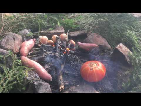 Överlevnadsdag, scout märken ,  Մասնագիտական Պէճեր