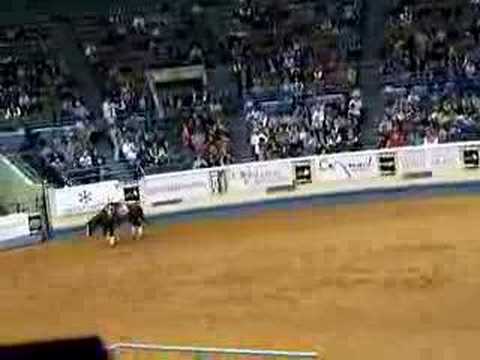 Trevor Dare NRHA Freestyle Invitational