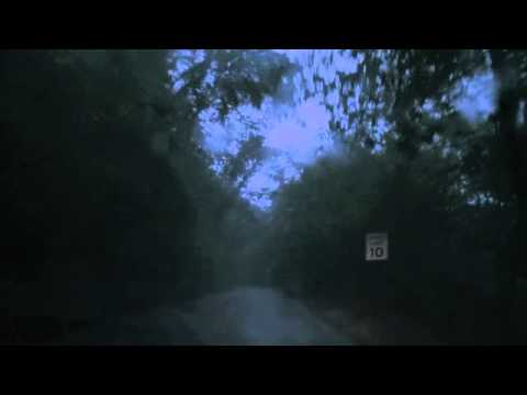 Fields of Your Life - Imagine This