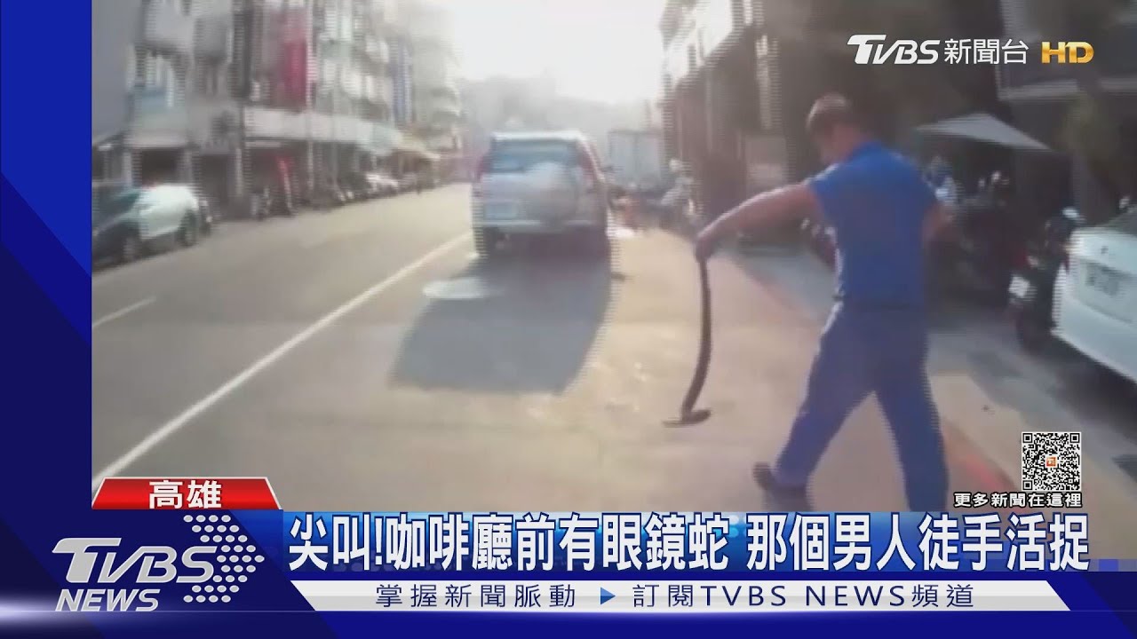尖叫！咖啡廳前眼鏡蛇　那個男人徒手活捉