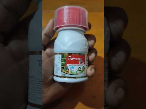 SAI POWER PLUS GROWTH EVERYTHING