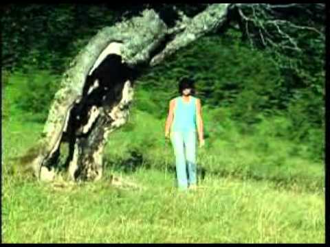 Halid i Tifa-100%.flv