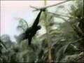 Sesame Street Swinging Gibbon