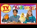 We Love Birds Kid Songs Videos Kidsongs TV Show Rocking Robin Talk To The Animals PBS Kids