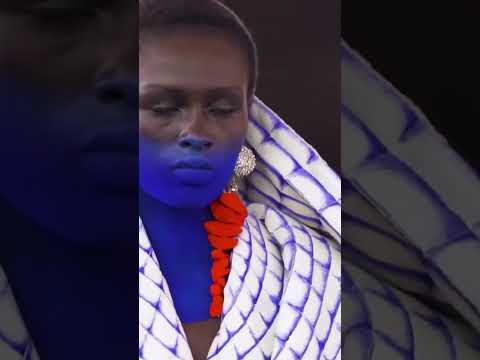 Stunning art in motion by @Schiaparelli Fall/Winter 2023-2024 #shorts