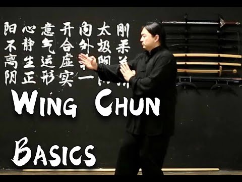8 min. Basic Wing Chun Training for beginners