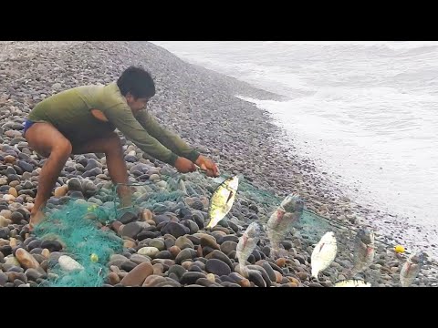 Mira las Técnicas que usa este Gran PESCADOR para Pescar con RED en el Mar