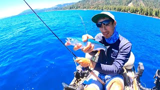 Exploring a HUGE LAKE with Multi-Species Success!!