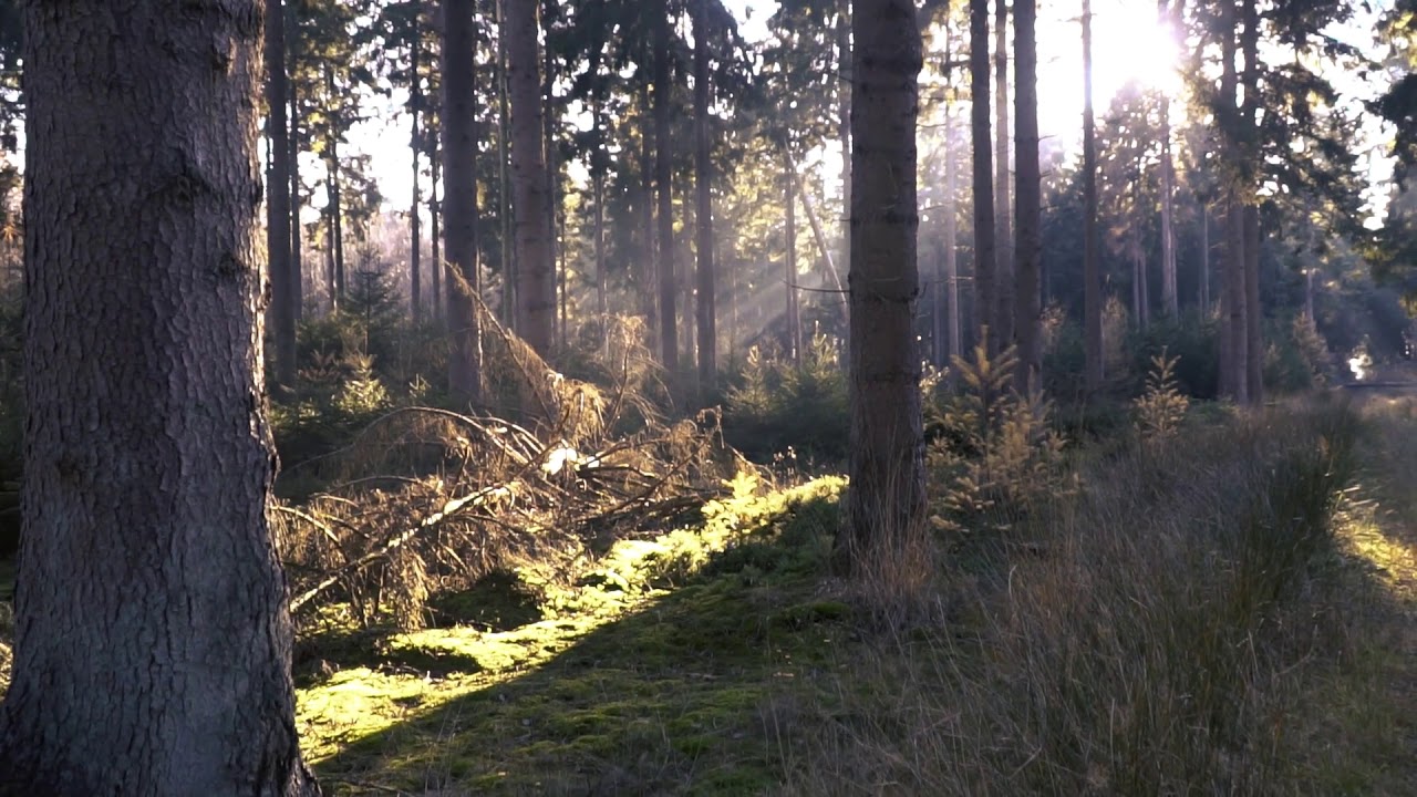 Lorem ipsum dolor sit amet