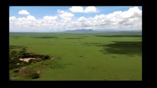 The Truth Will Always Be - Pat Metheny