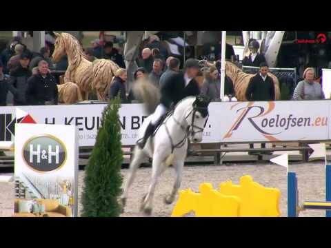 Holsteiner im Rampenlicht -  ***CSI Lanaken - Carlo (v. Cassini II-Alcatraz)