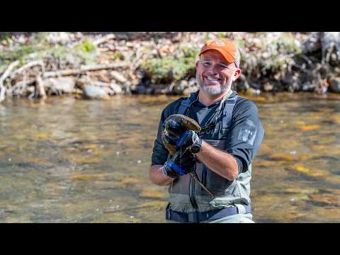 A Southwest Virginia salamander success story