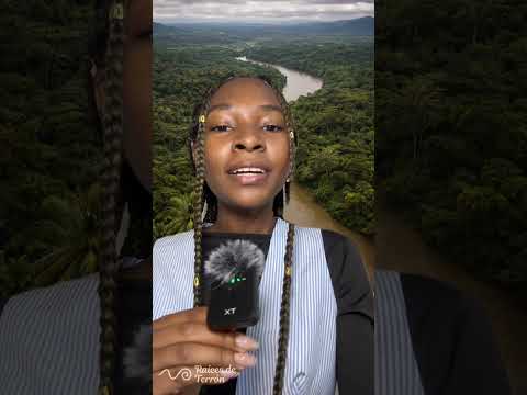 ¿Sabías cómo nació San Agustín de Terrón? | Historia del Bajo Baudó, Chocó
