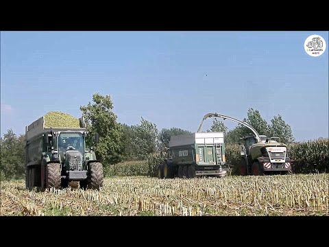 Claas Jaguar 980 Type 498 SHREDLAGE & 7 Ravizza trailers - Agromeccanica Agliardi - Corn silage 2020