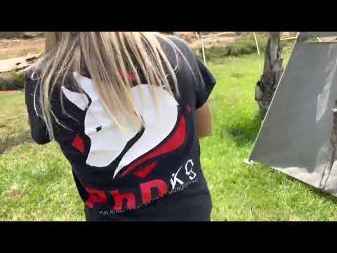 Doberman Training in Southern California with Americas Best Dog Trainers at PHD K9