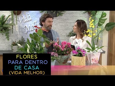 , title : 'Flores Para Dentro de Casa - Dicas no Programa Vida Melhor'