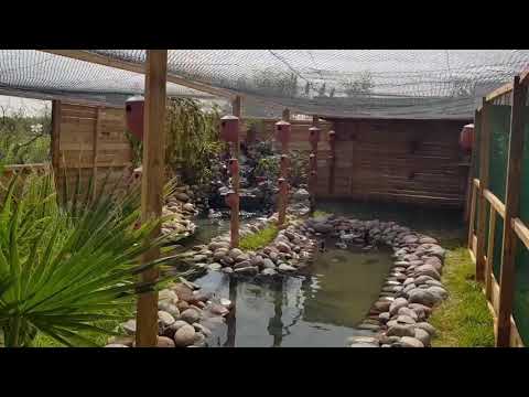 Volière extérieure