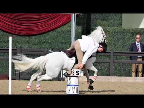 England Pony Club Mounted Games Windsor 2017