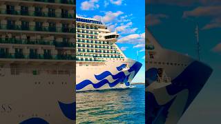 Majestic Princess 🛳️ #travel #yt #subscribe #comment #youtubeshorts #shortvideo #short #shorts #fun