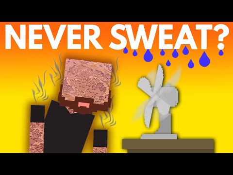 都不流汗會怎麼樣？(What If You Never Sweat?)
